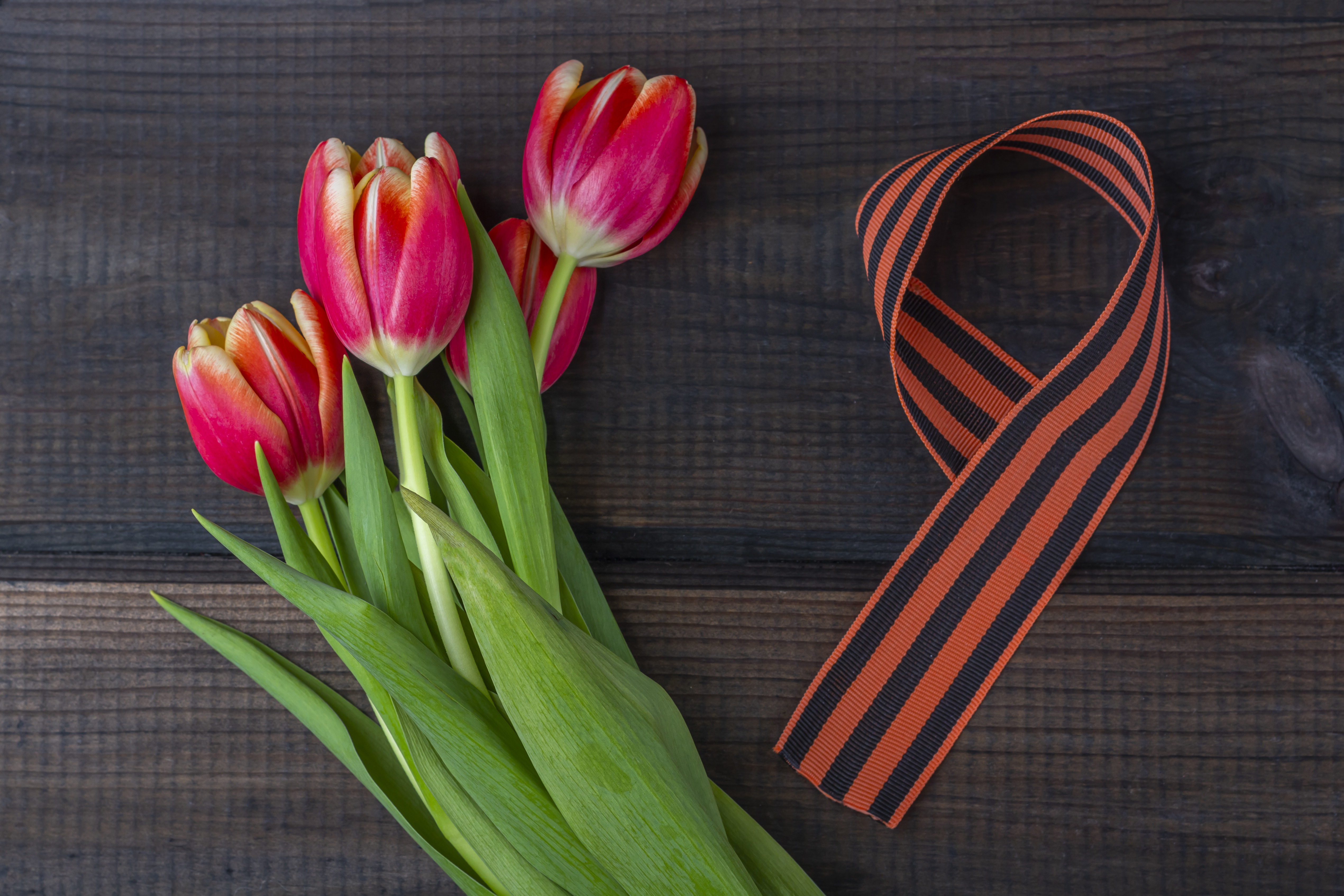 Гвоздика победы. Букет на 9 мая. Композиция ко дню победы. Гвоздики 9 мая. Букет гводик9 мая.